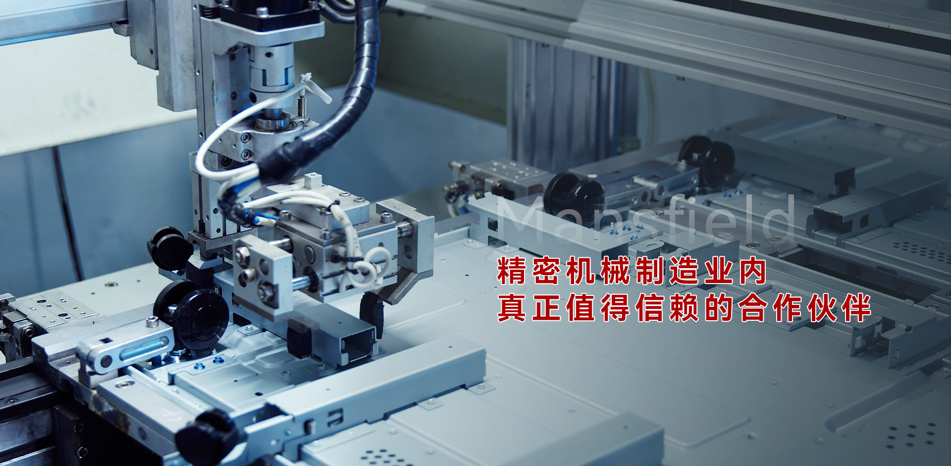 Banner003200-04.png