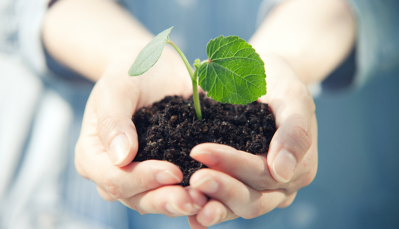 Sustainability-img1.jpg